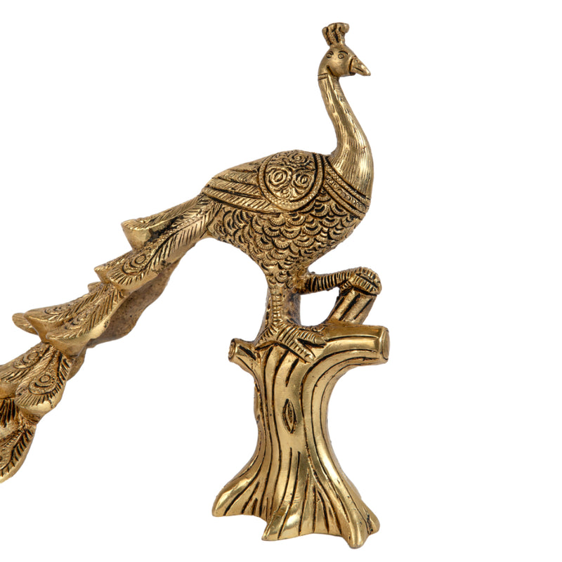 Jaszz Art Brass Peacock - 2.4 KG